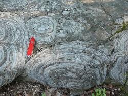 Fosilní stromatolity (Hoyt Limestone, kambrium, Saratoga Springs, NY)