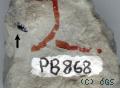 PB868